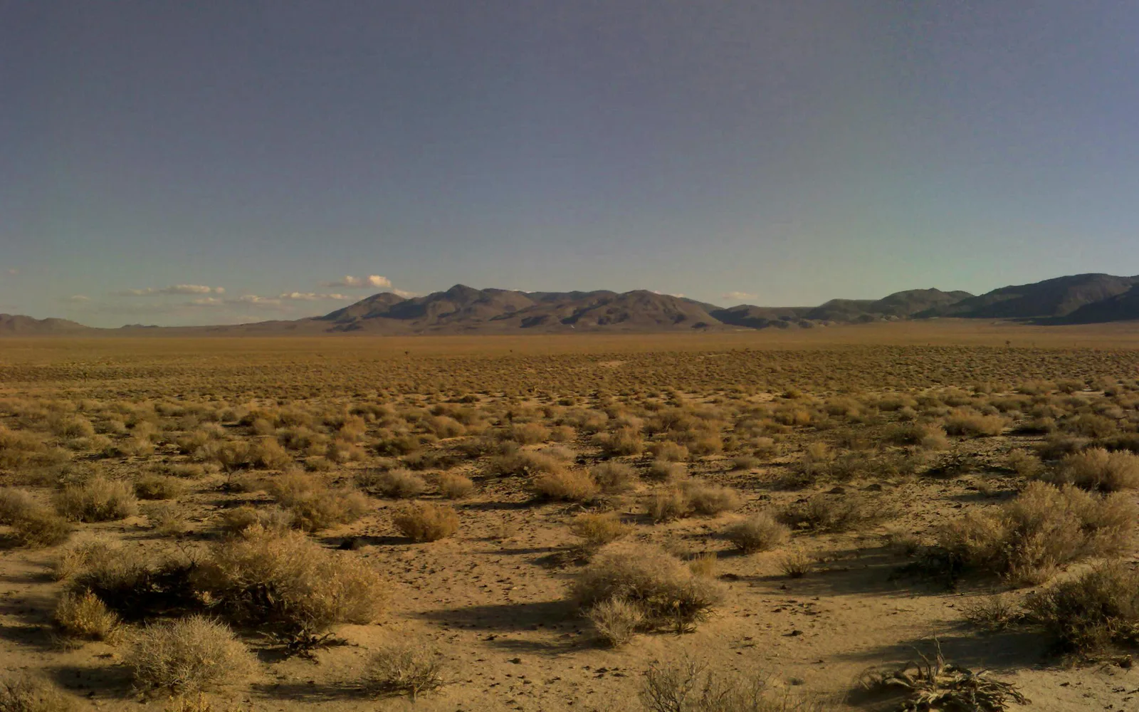 A wide view of the Mojave Desert landscape with low vegetation and distant mountains under clear sky